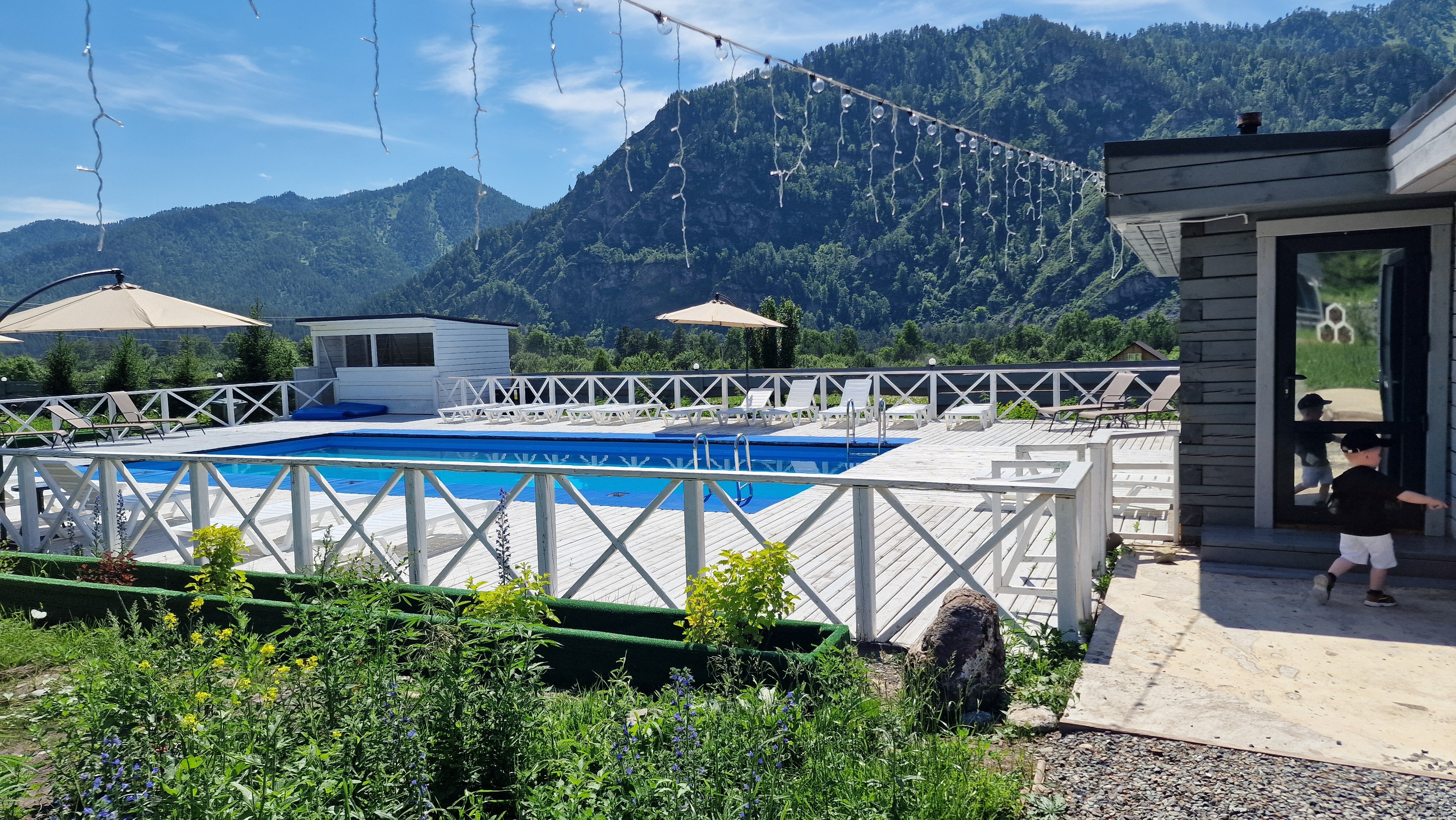 Фото Алтай Лотос