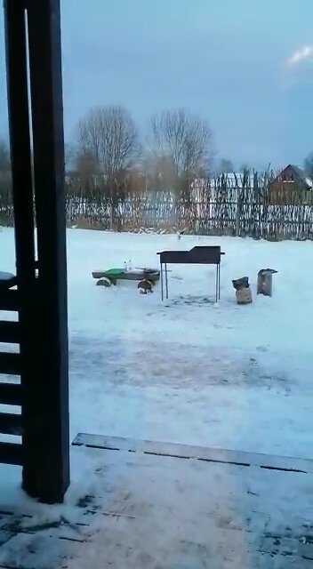 Фото Камин и Пианино