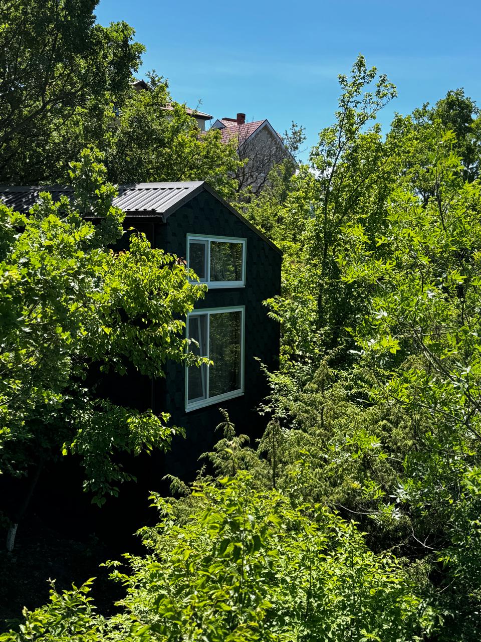 Фото Бегом к нам