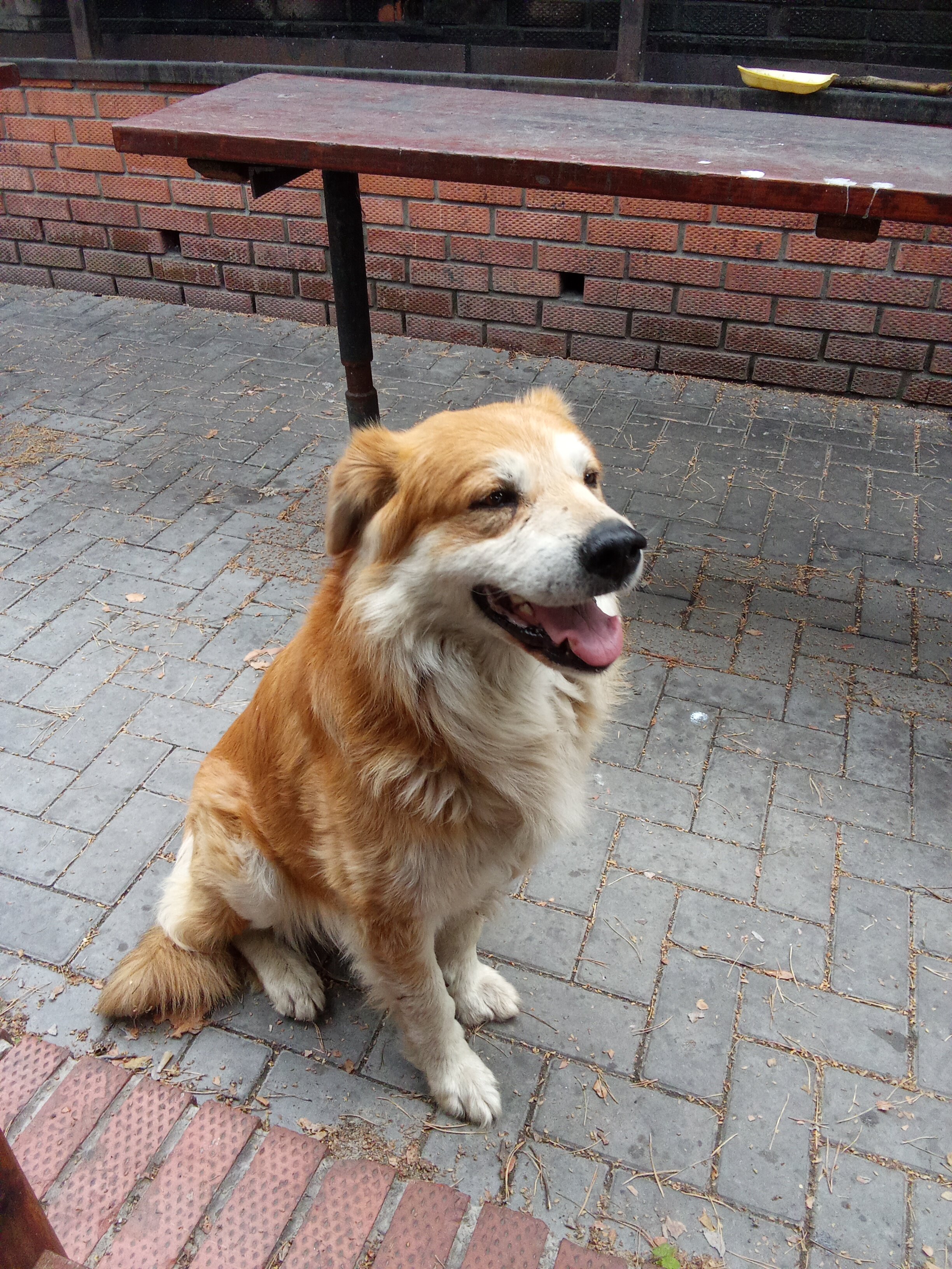 Фото Радуга