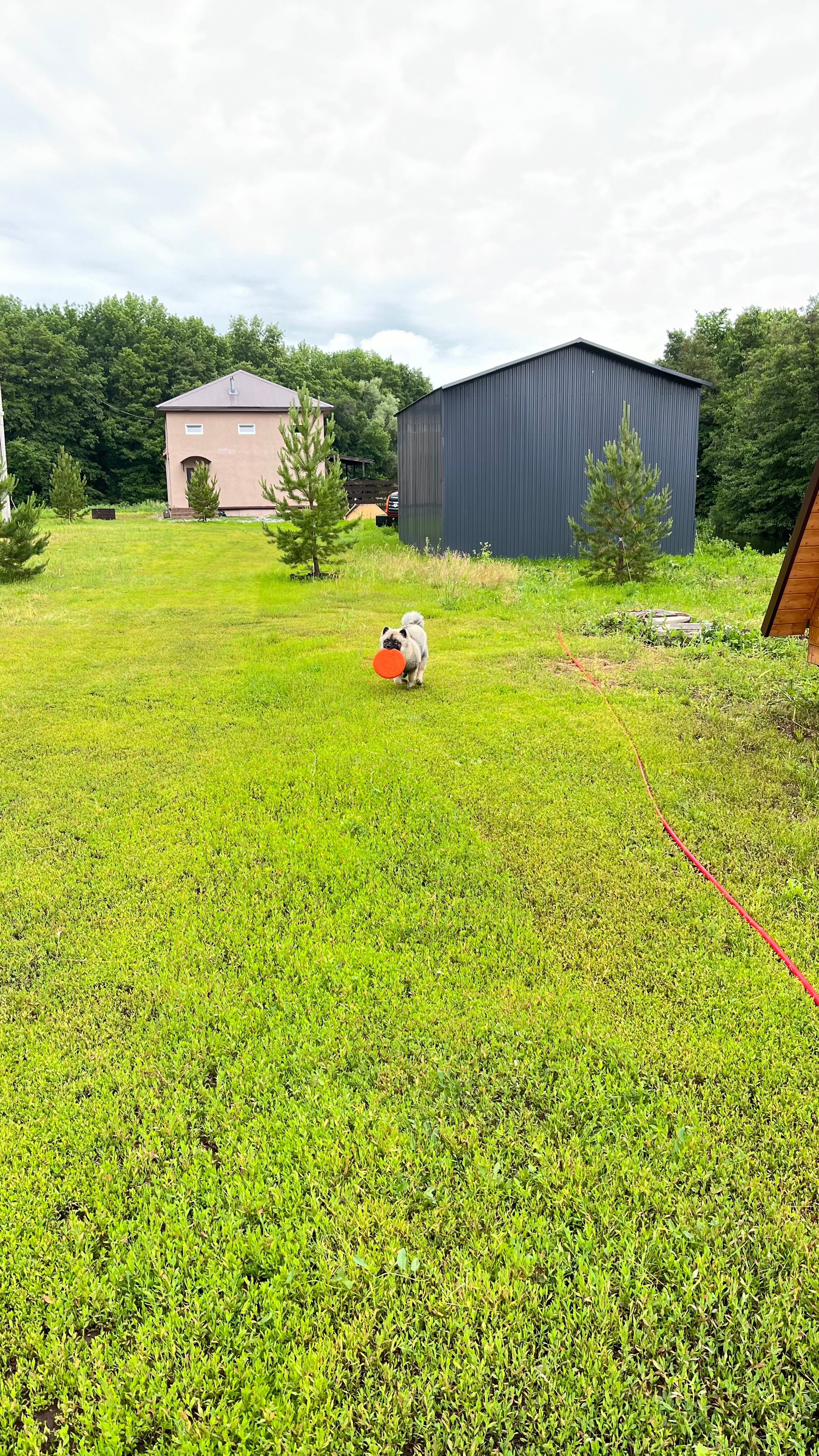 Фото Тихий остров