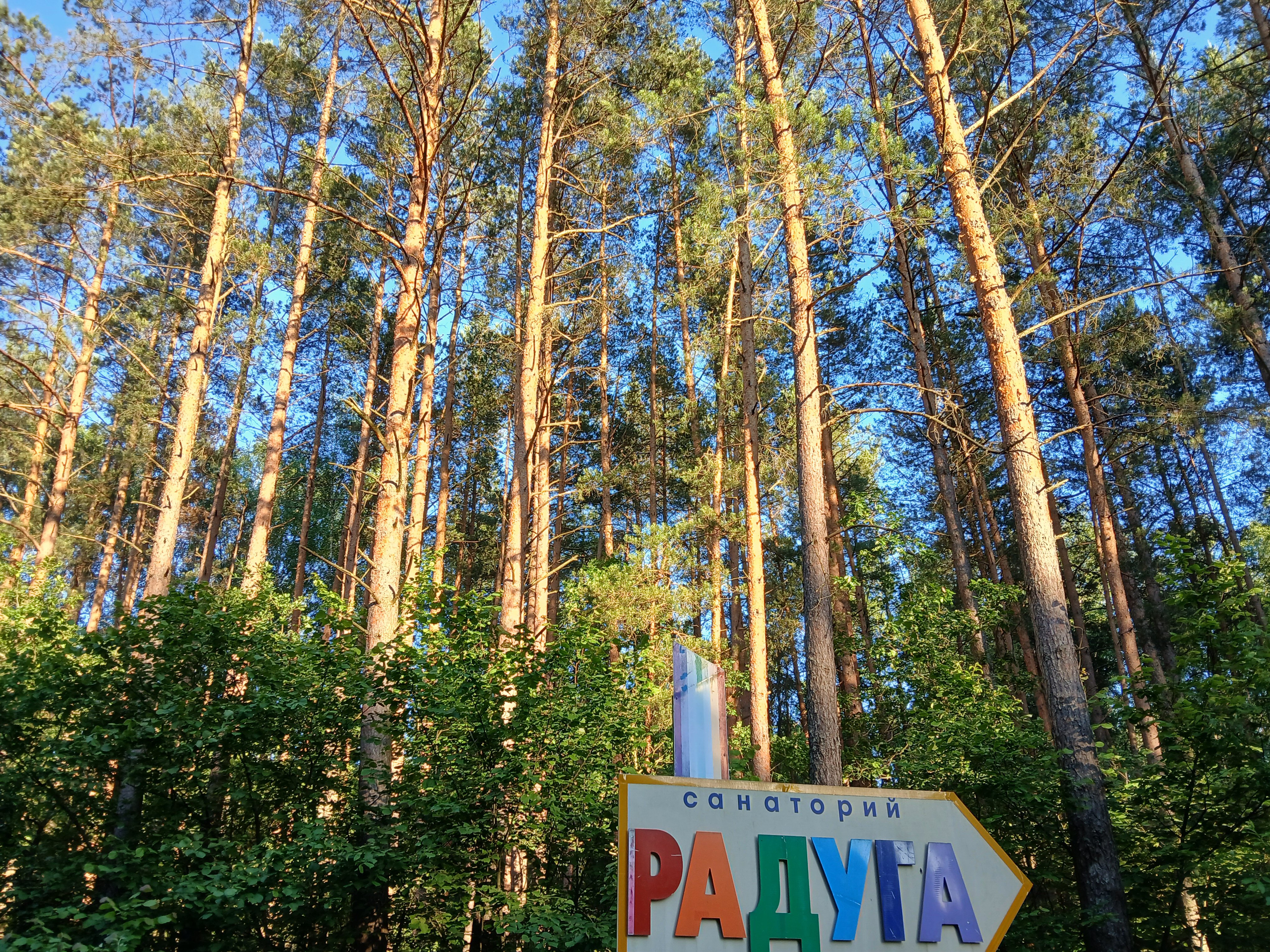 Фото Санаторий Радуга