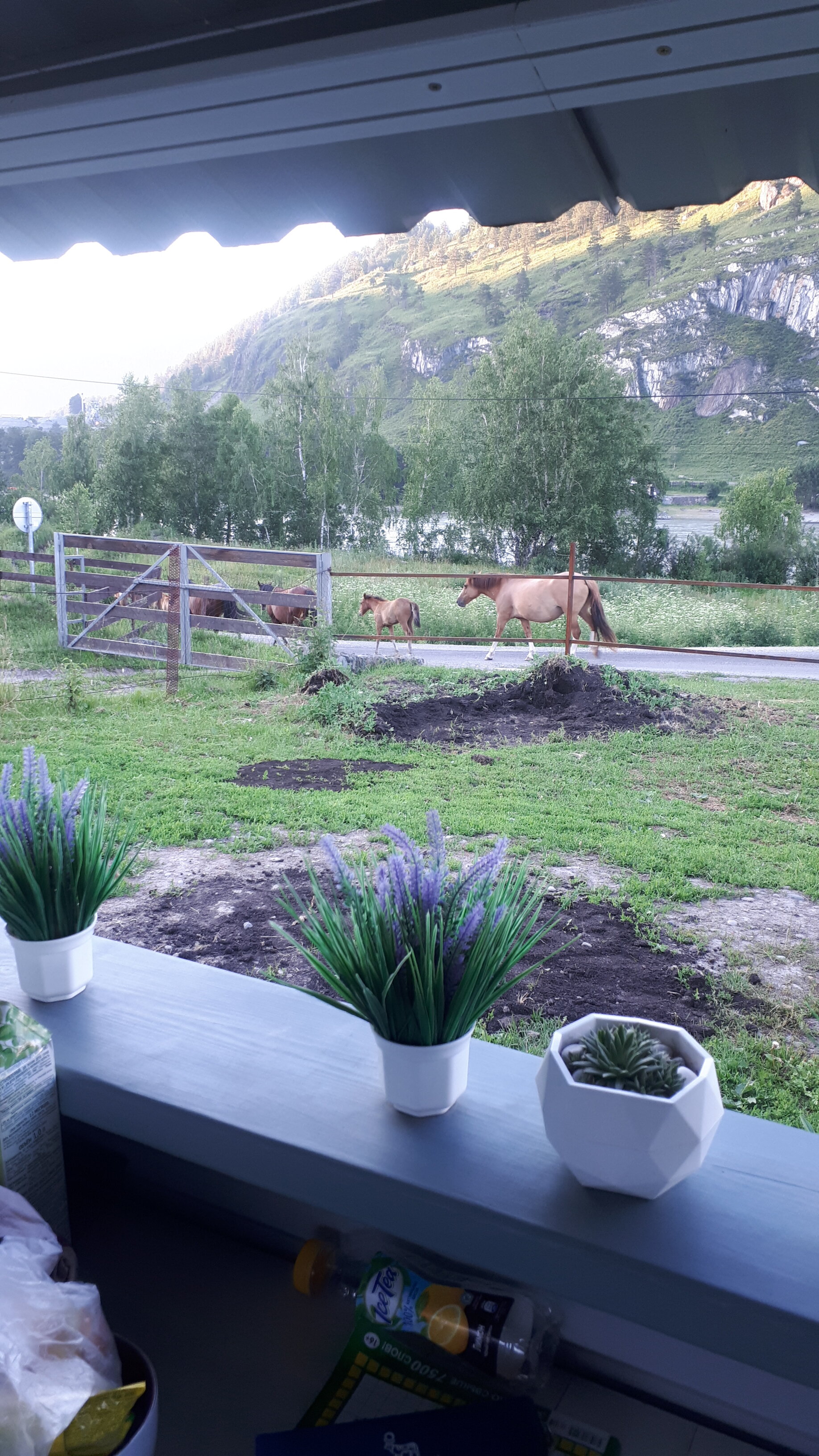 Фото Домики