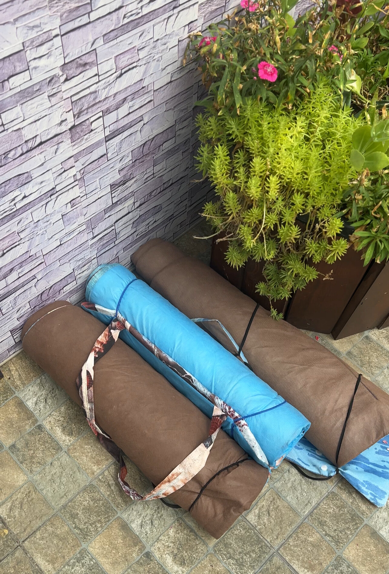 Фото Моя СемьЯ