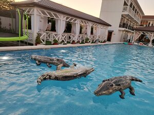 Райский уголок