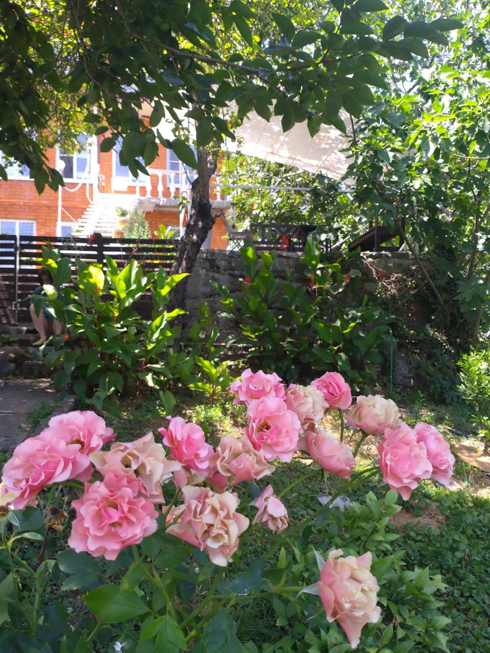 Фото Заповедник