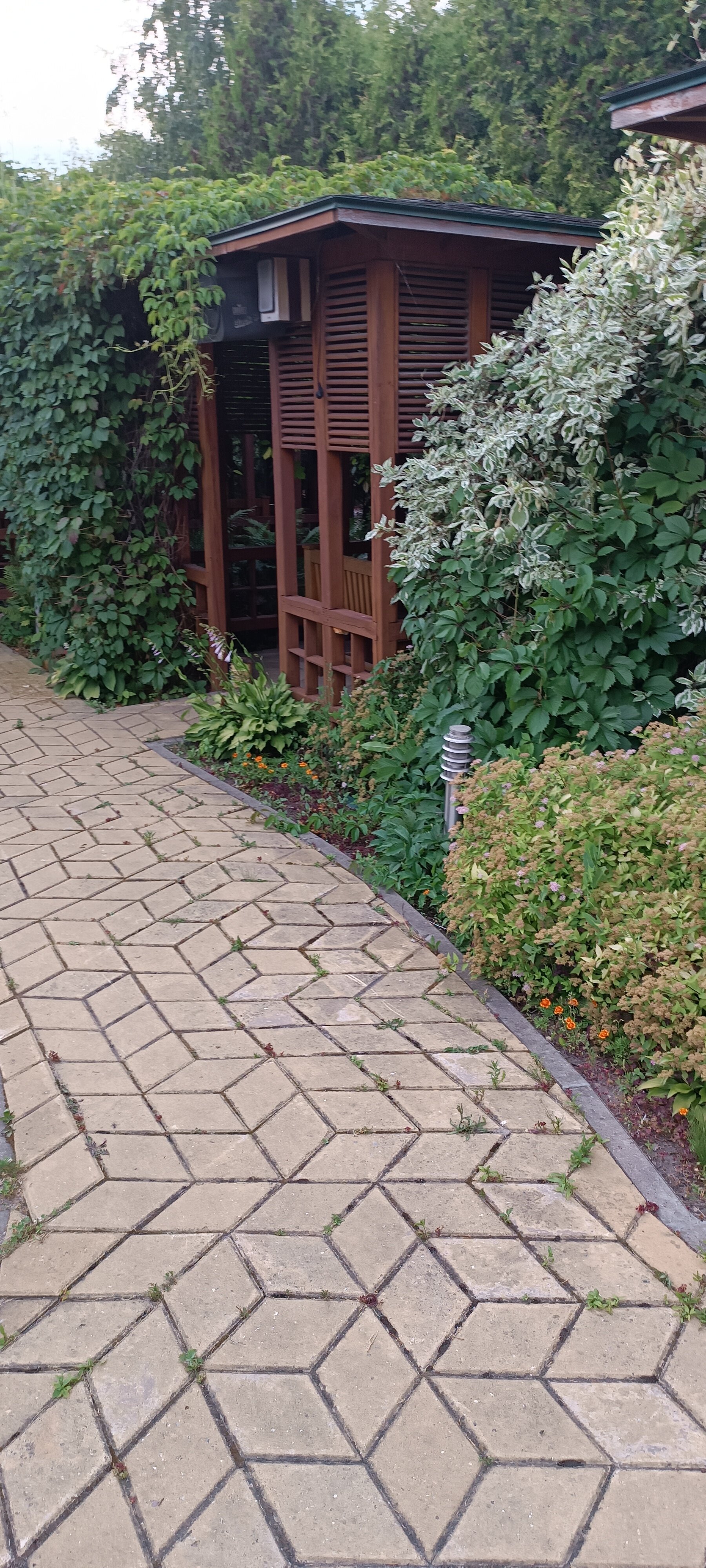 Фото Калипсо