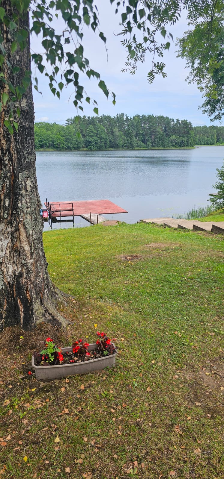 Фото На берегу