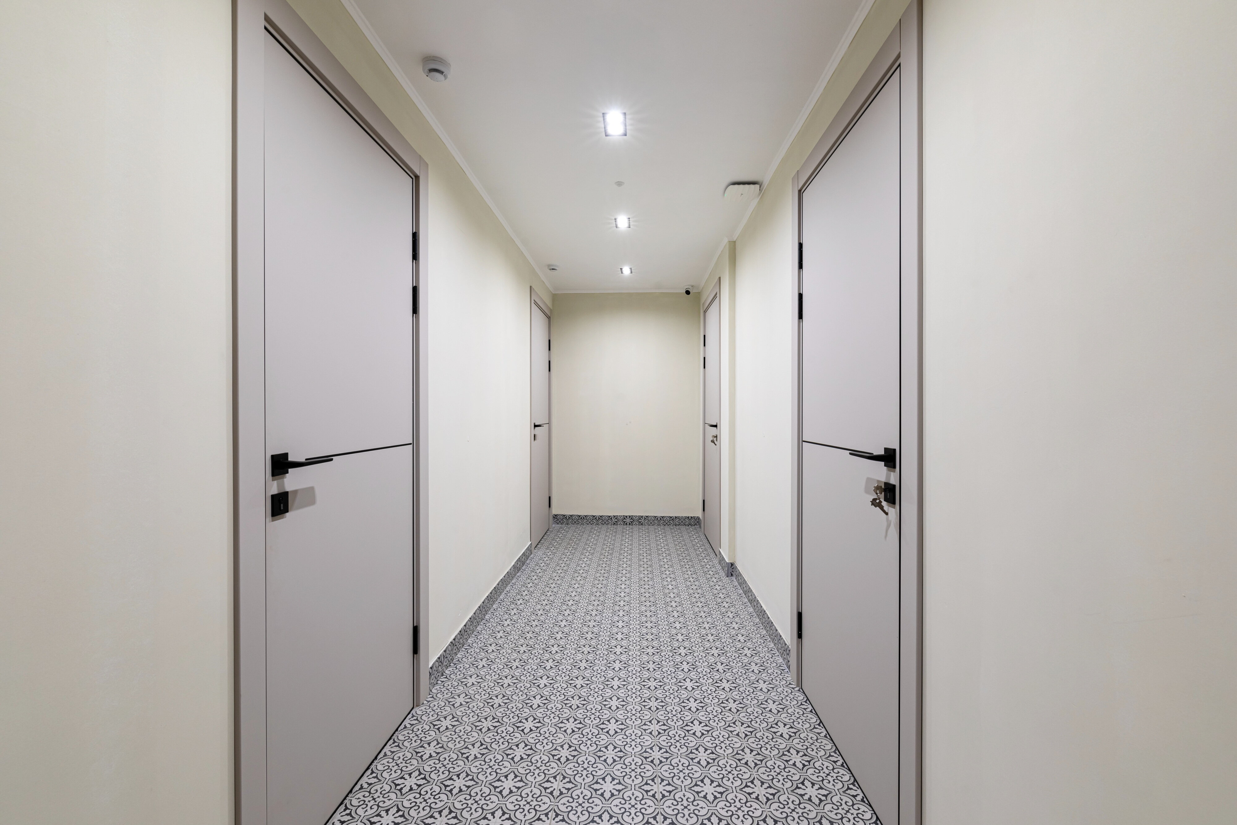 Фото Кукуруза