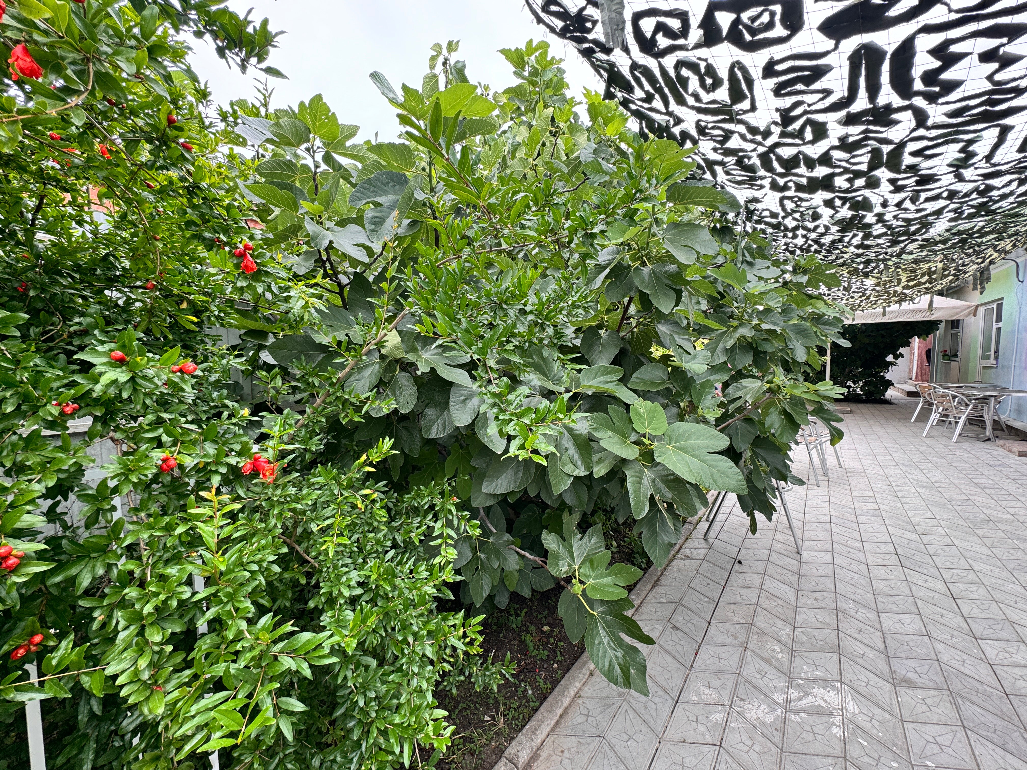 Фото Любой Каприз