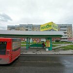 Ekonom (Morskoy prospekt, 60), household goods and chemicals shop