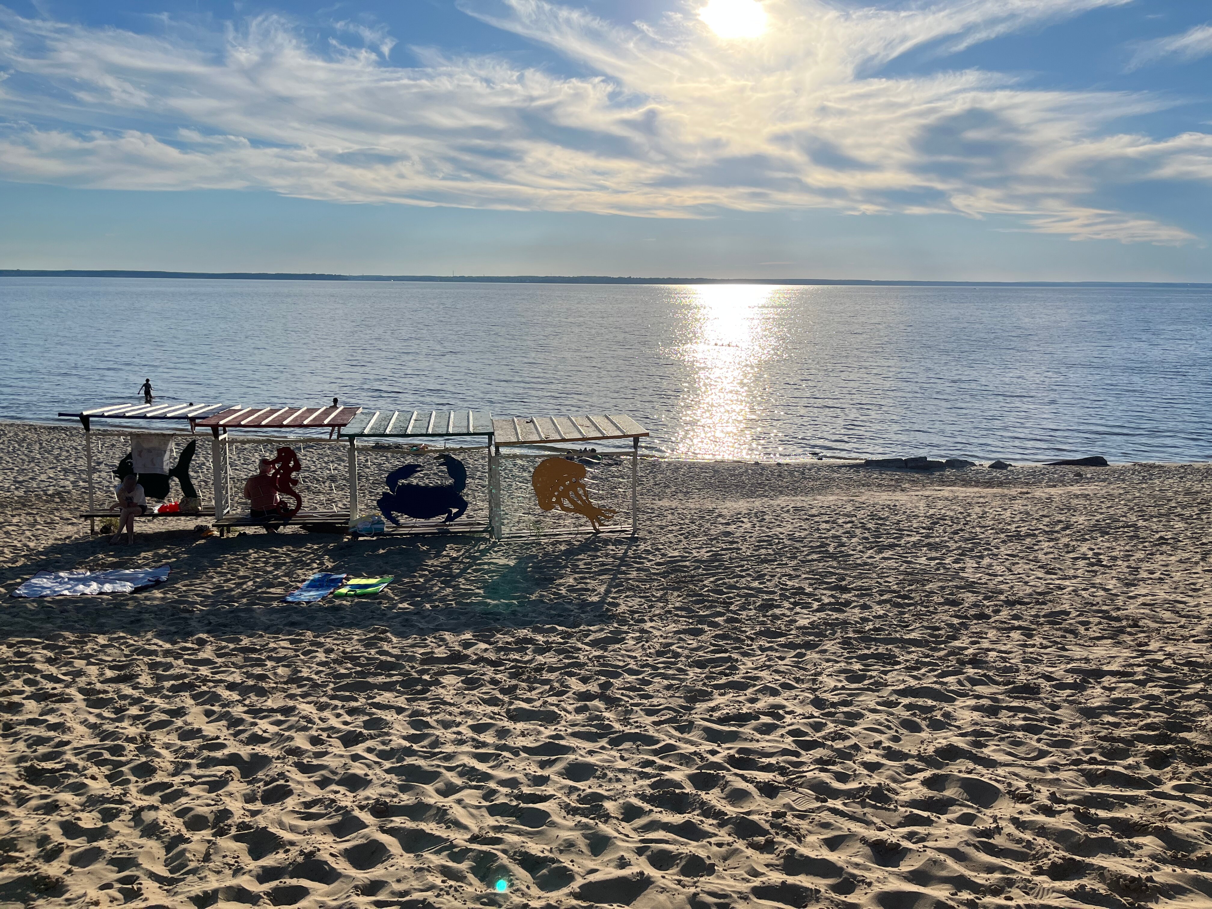 Фото Буревестник