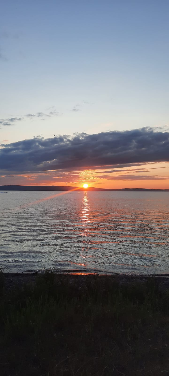 Фото Белая сова