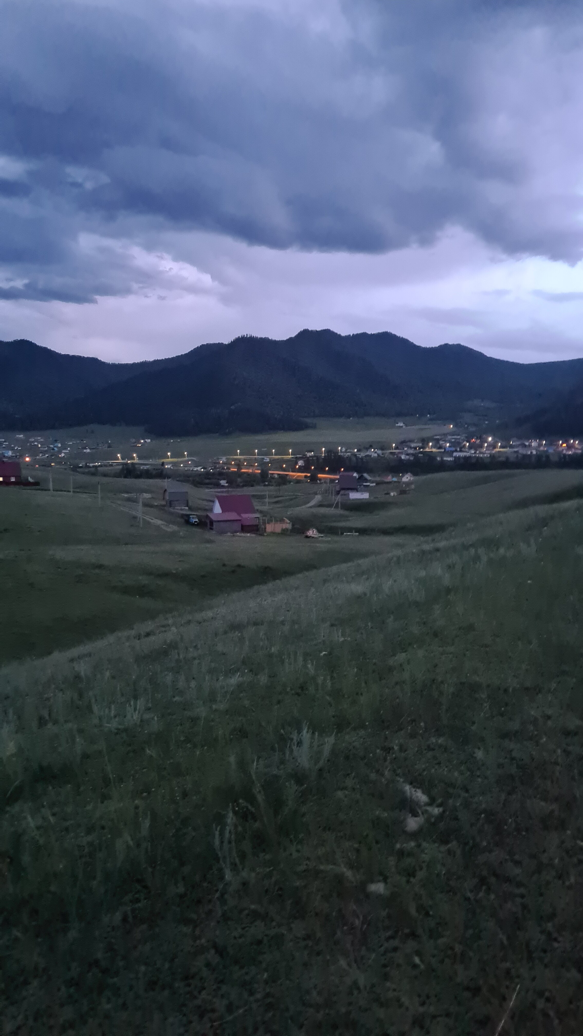 Фото Дикий Еж