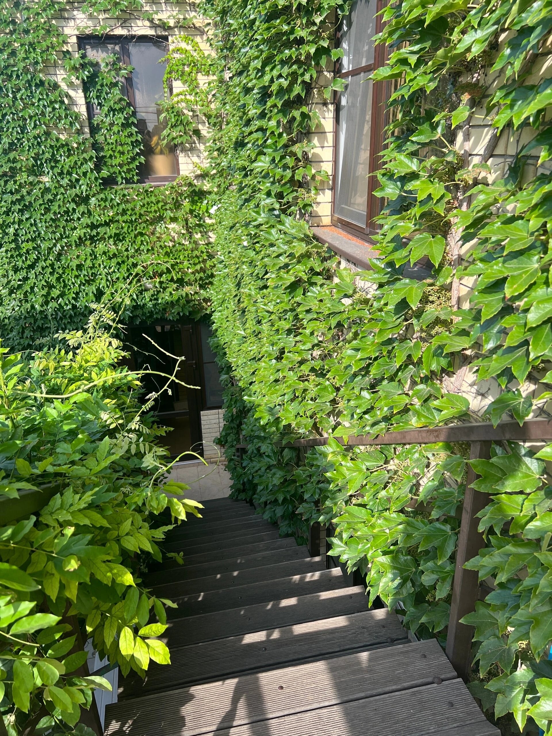 Фото Анисья