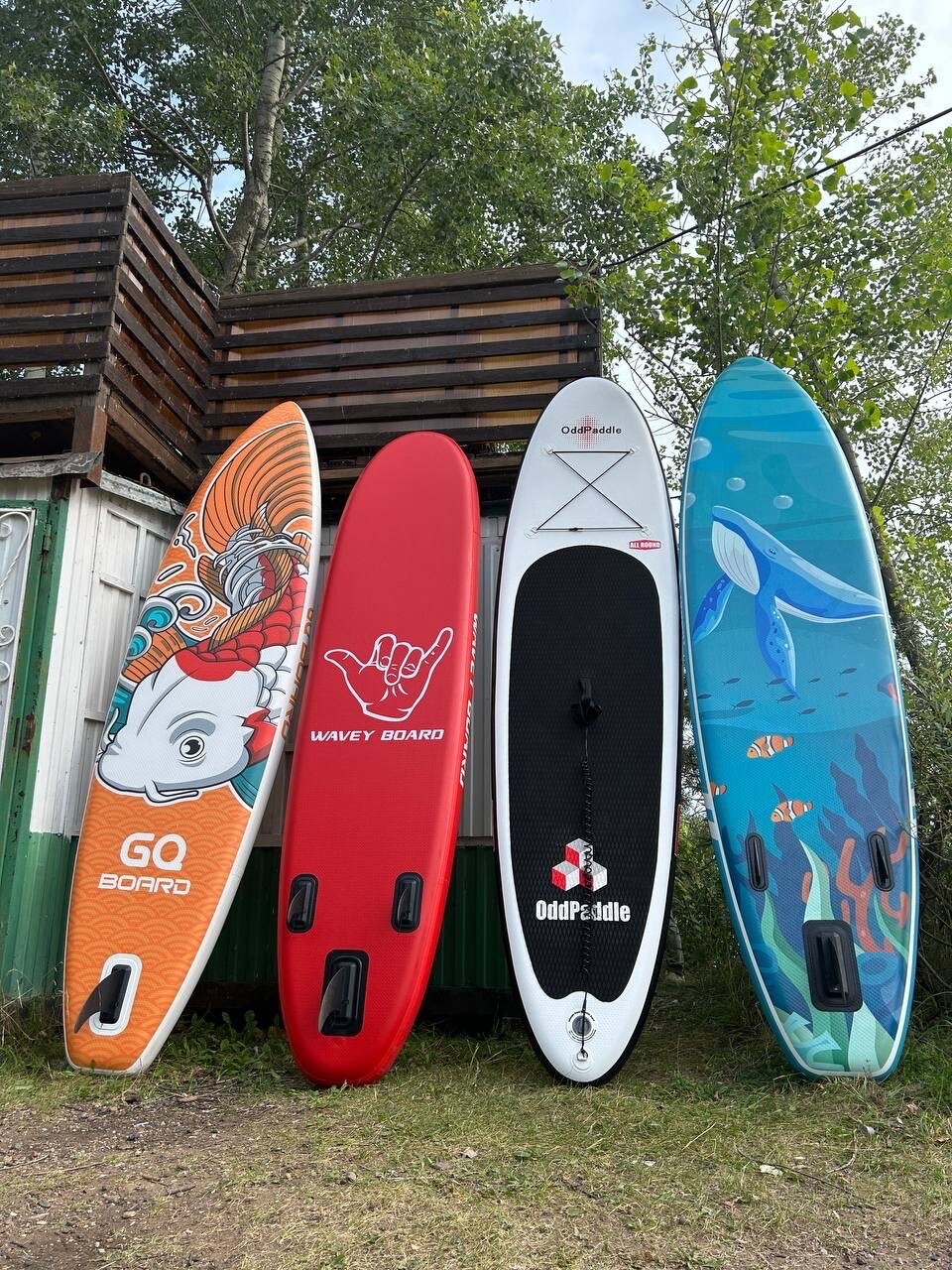 Фото Облепиха