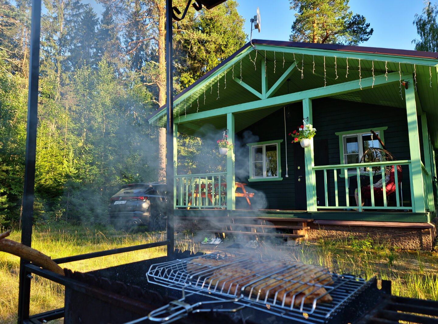 Фото Вереск