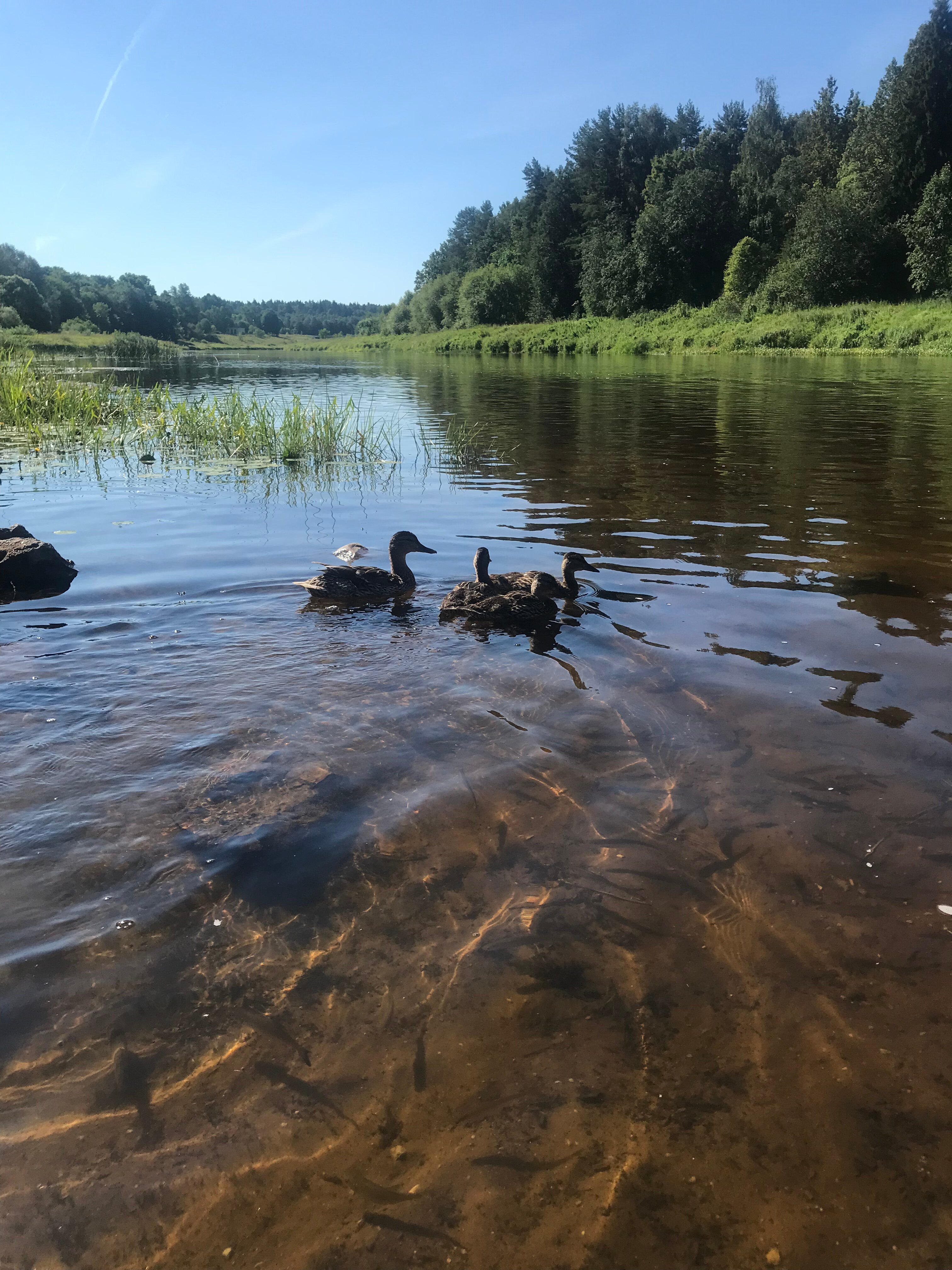 Фото Санаторий Митино