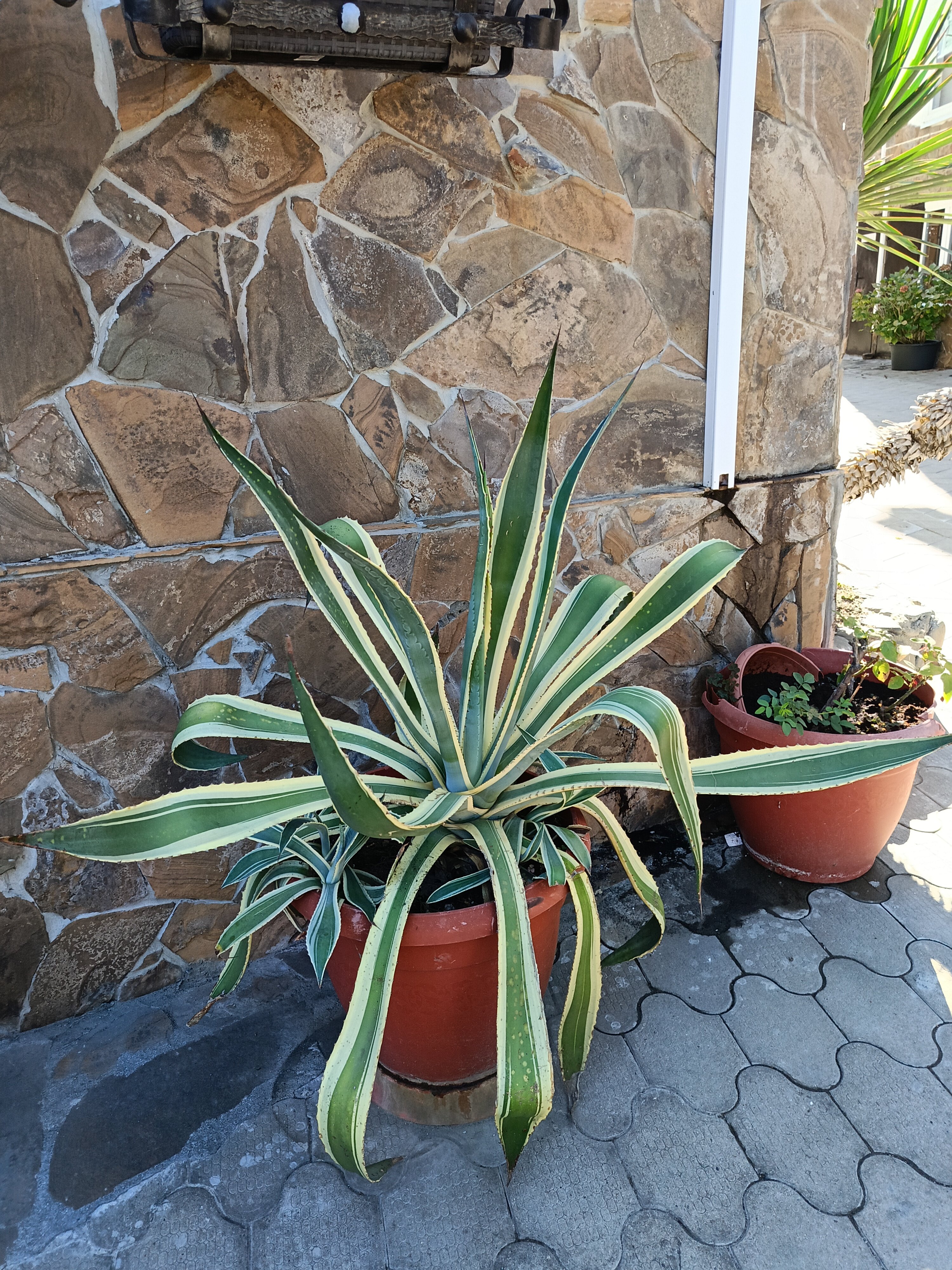 Фото Максим Парк-Лоо