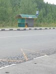 Поворот на Николаевку (Kemerovo — Kuzbass Region, 32K-176) ، توقف وسائل النقل العام