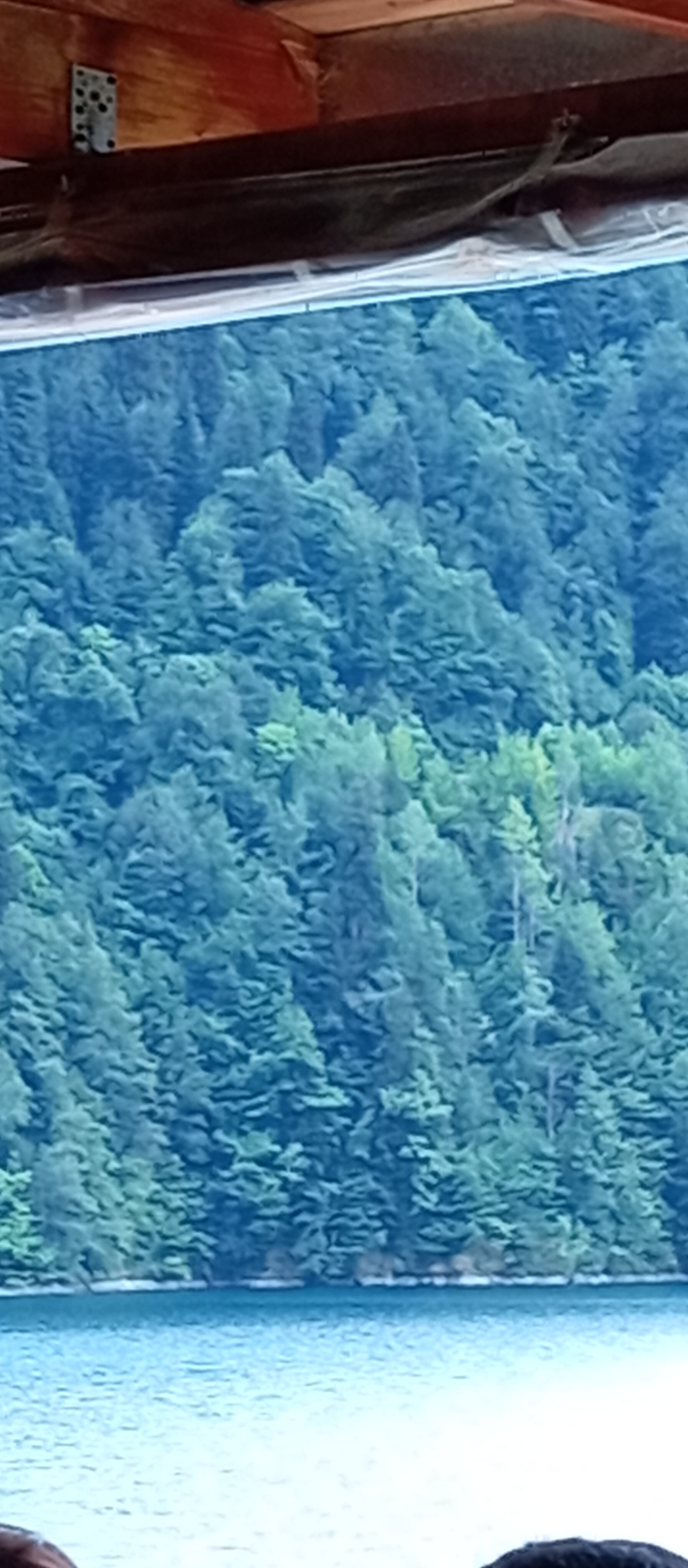 Фото 237534356219