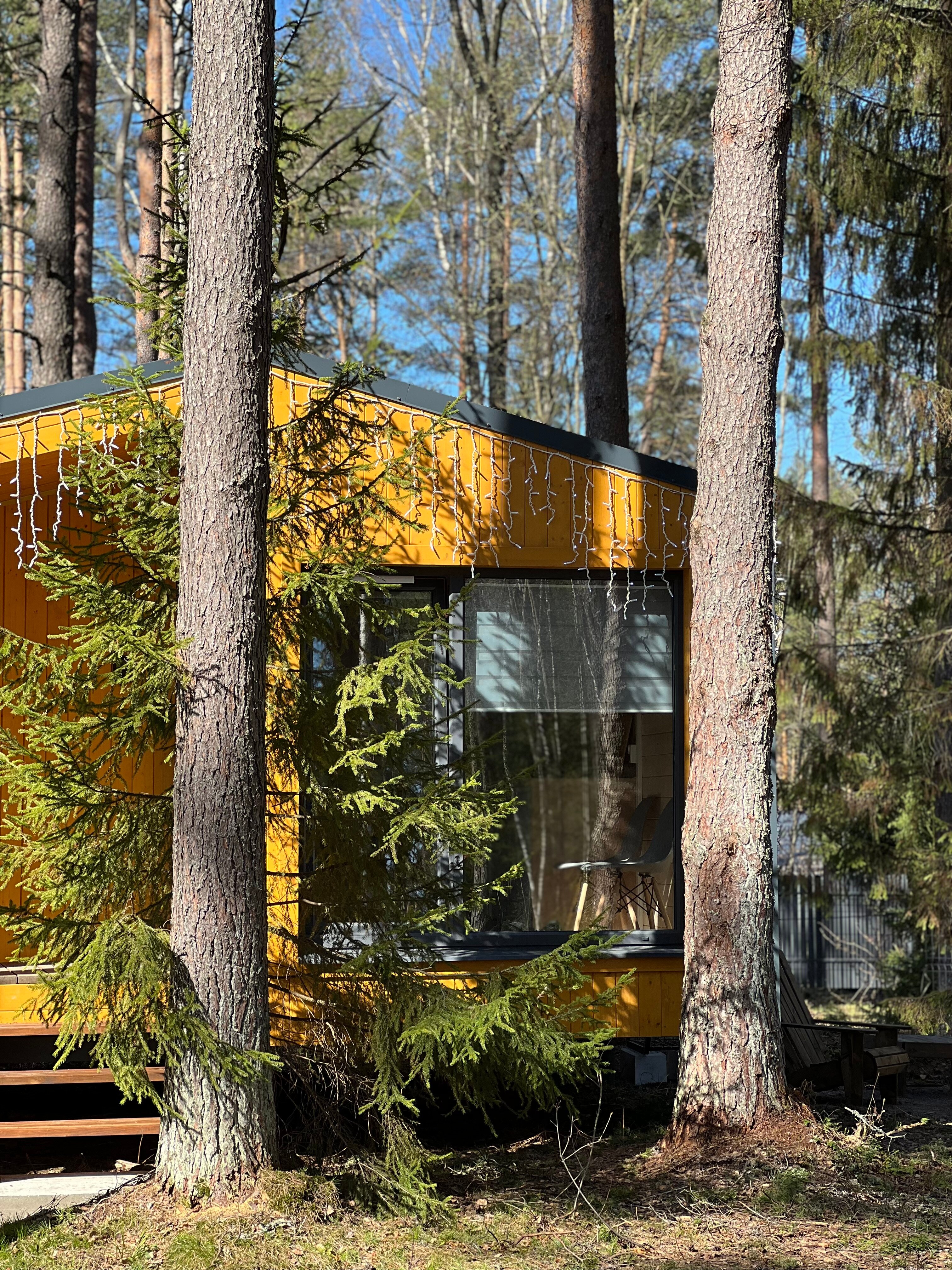 Фото Территория отдыха Лисички