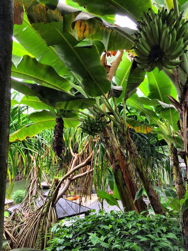 Фото Paradise Bay Resort