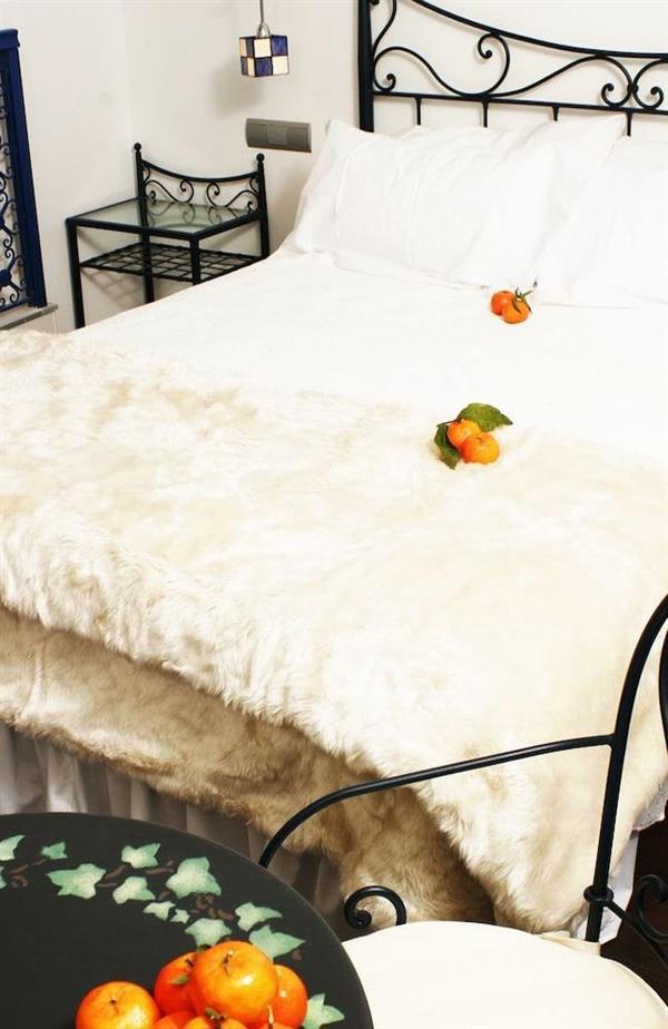 Фото Hostal Santo Domingo