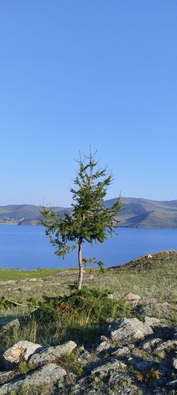 Фото ЭкоАура