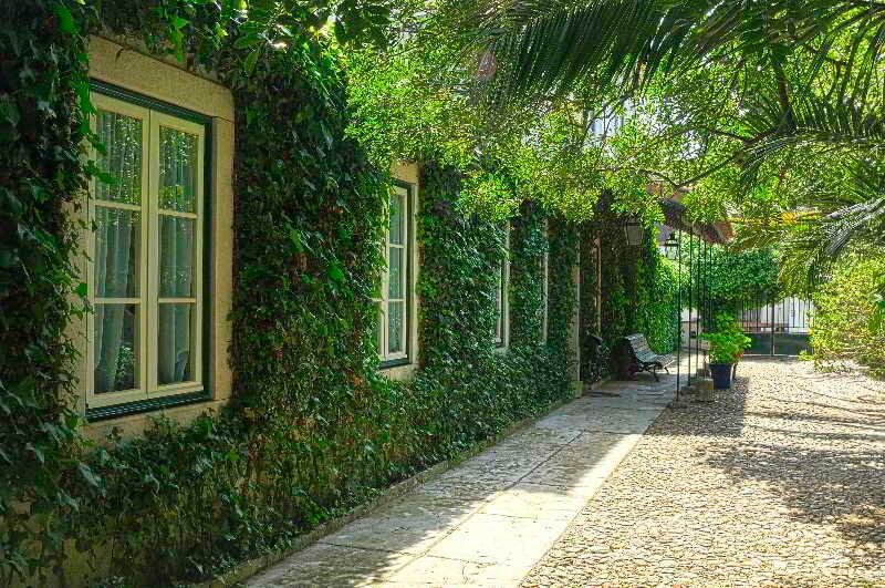 Фото Casa do Foral