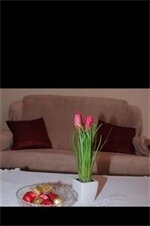 Фото Apartments Nerio