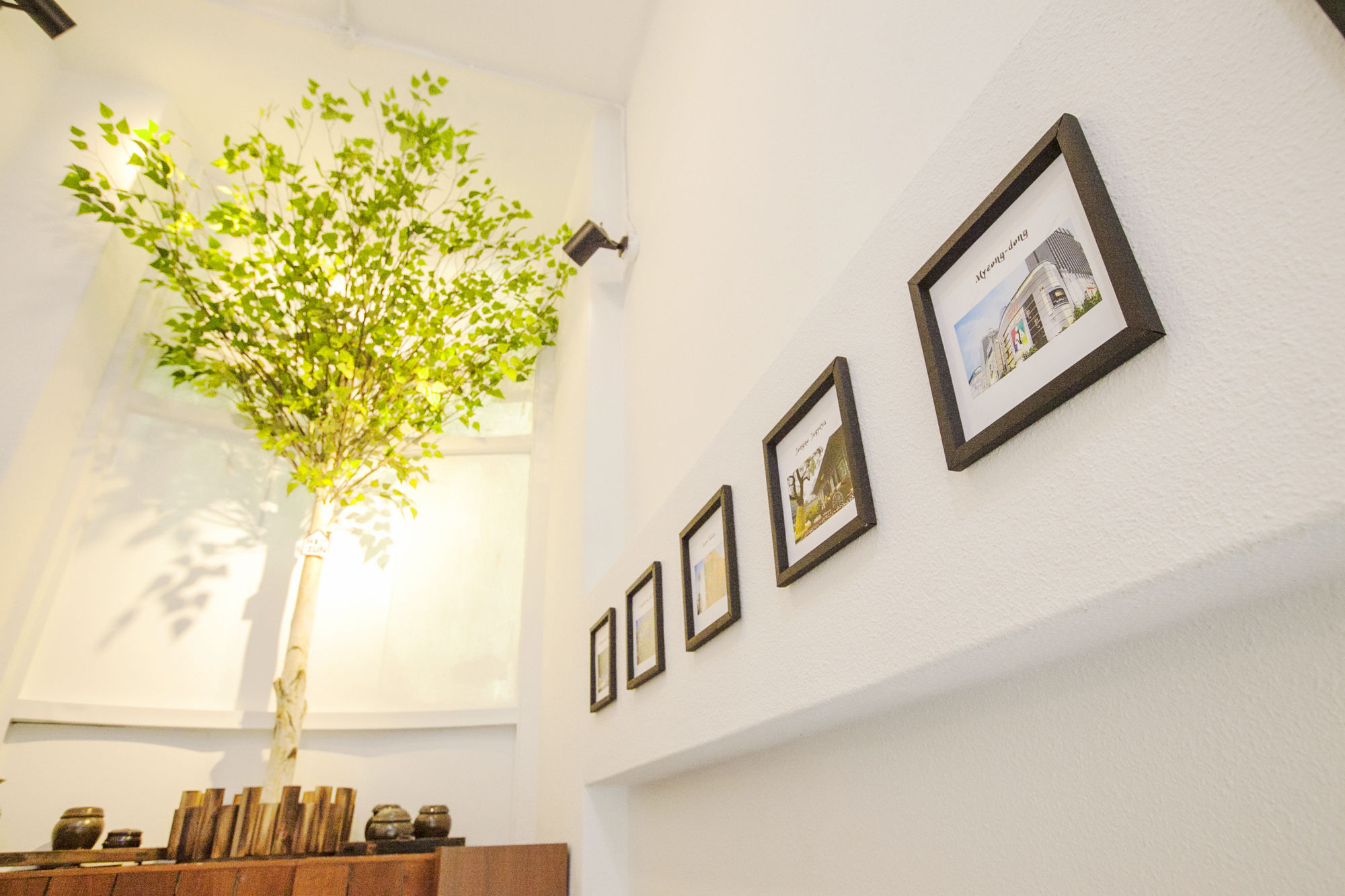 Фото Cocoa Guesthouse