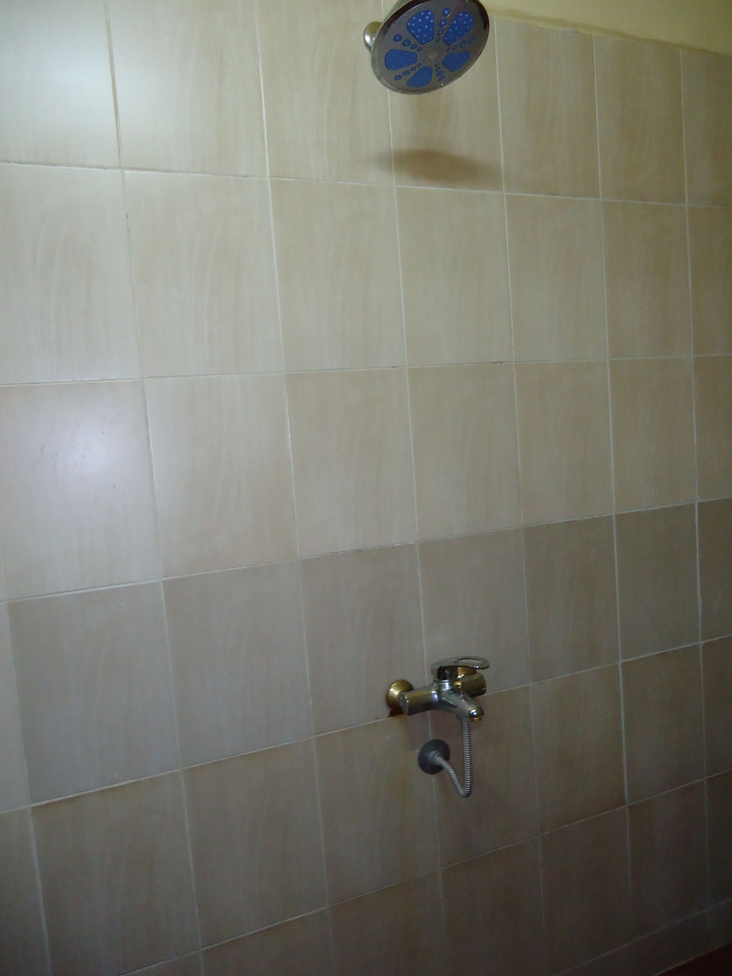 Фото Cairo Paradise