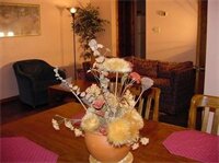 Фото Chapel Hill InnTown