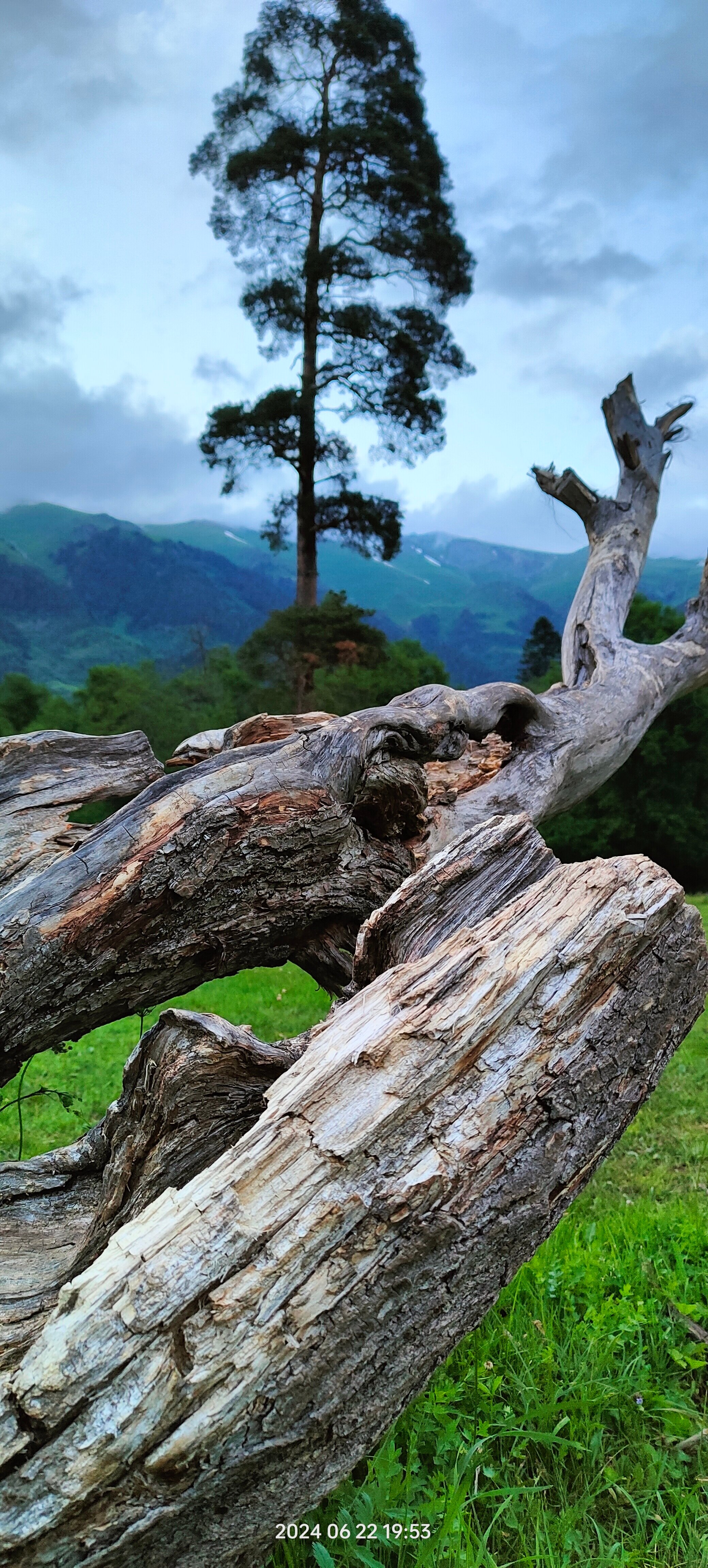 Фото Алан Коттедж