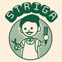 Стрига