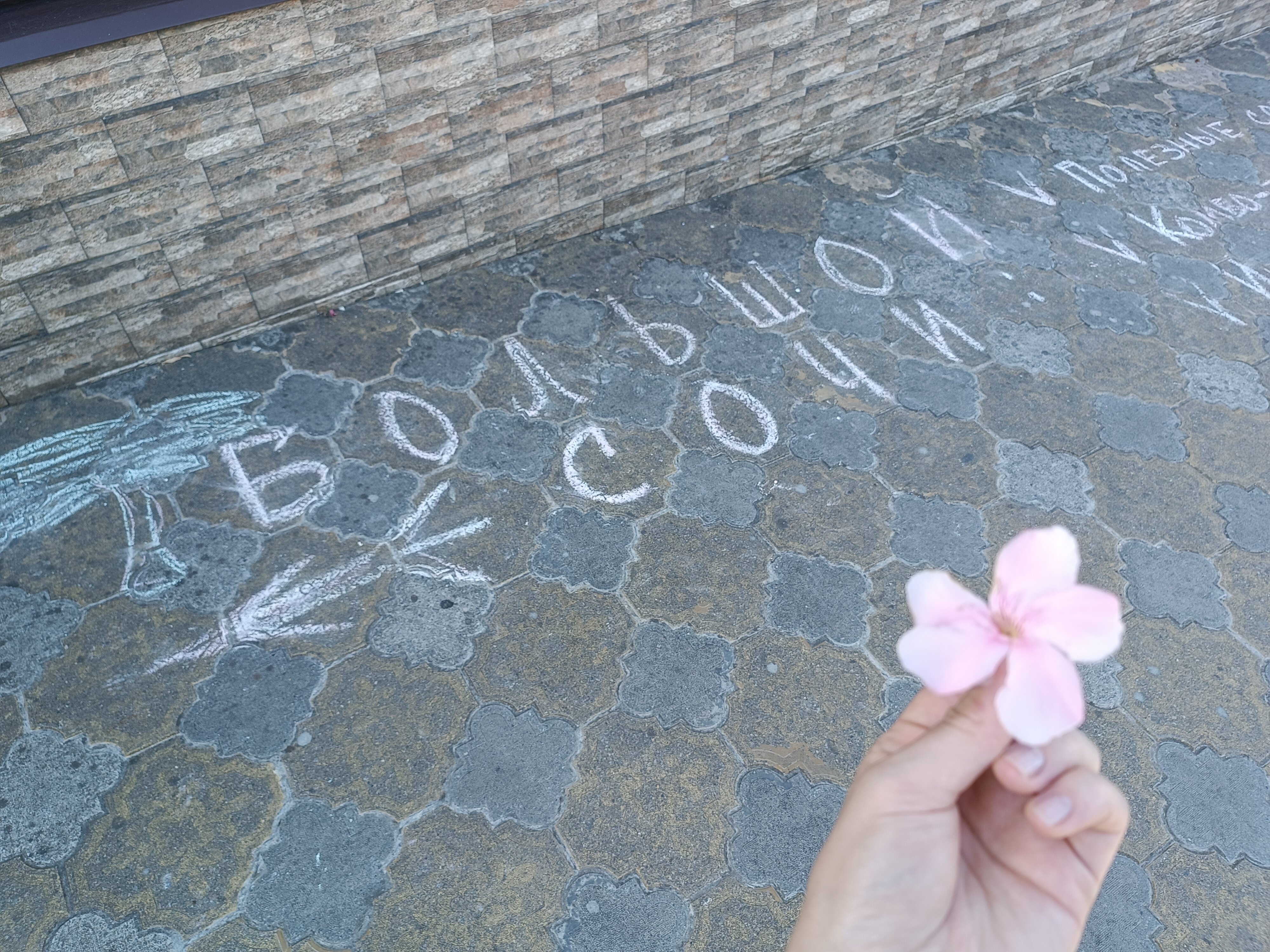 Фото Эвелина