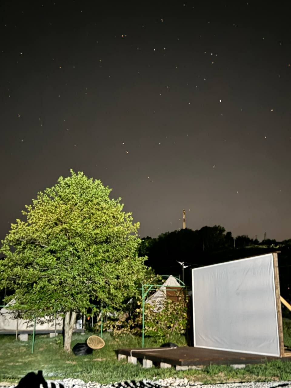 Фото Сад чудес