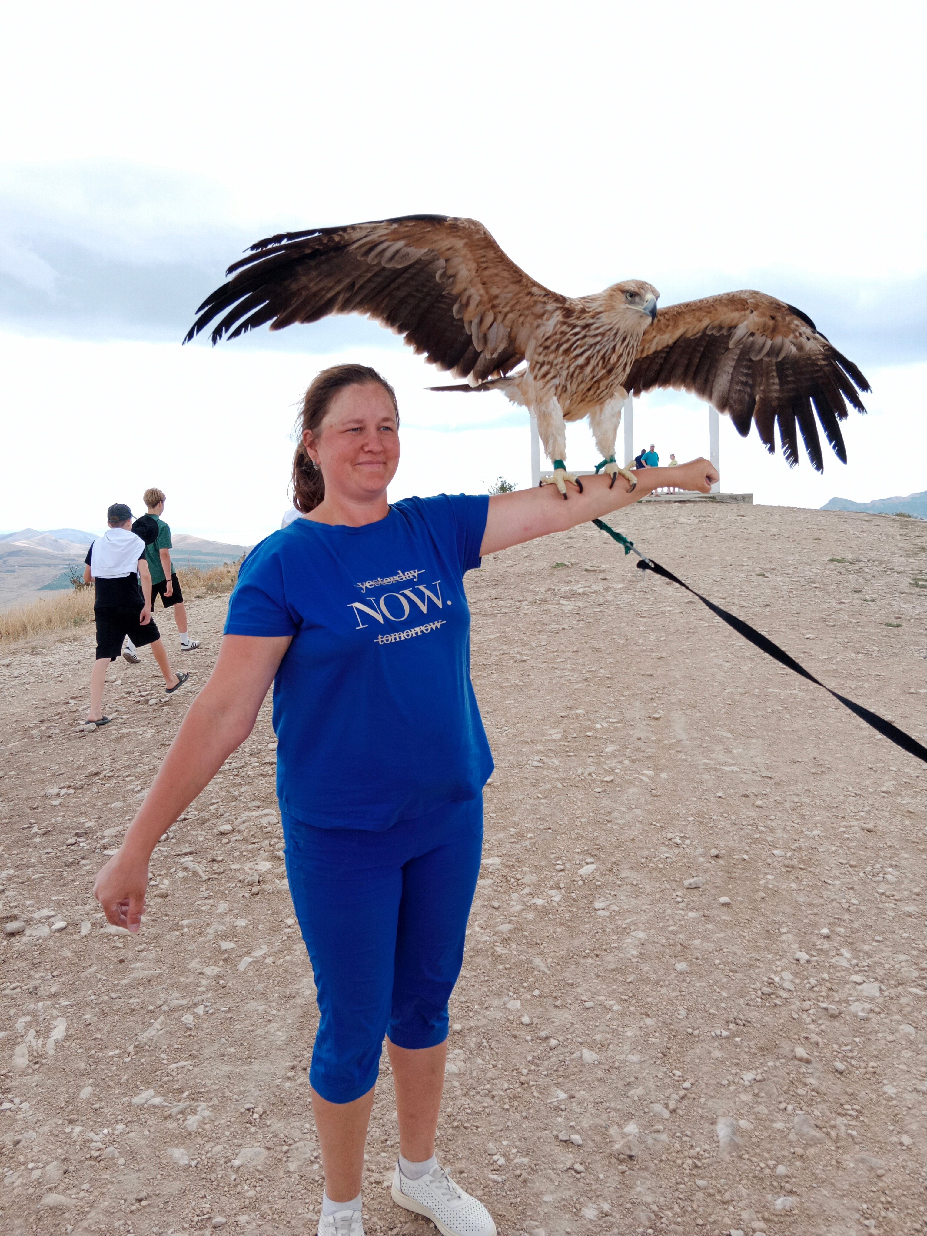 Фото Алетон