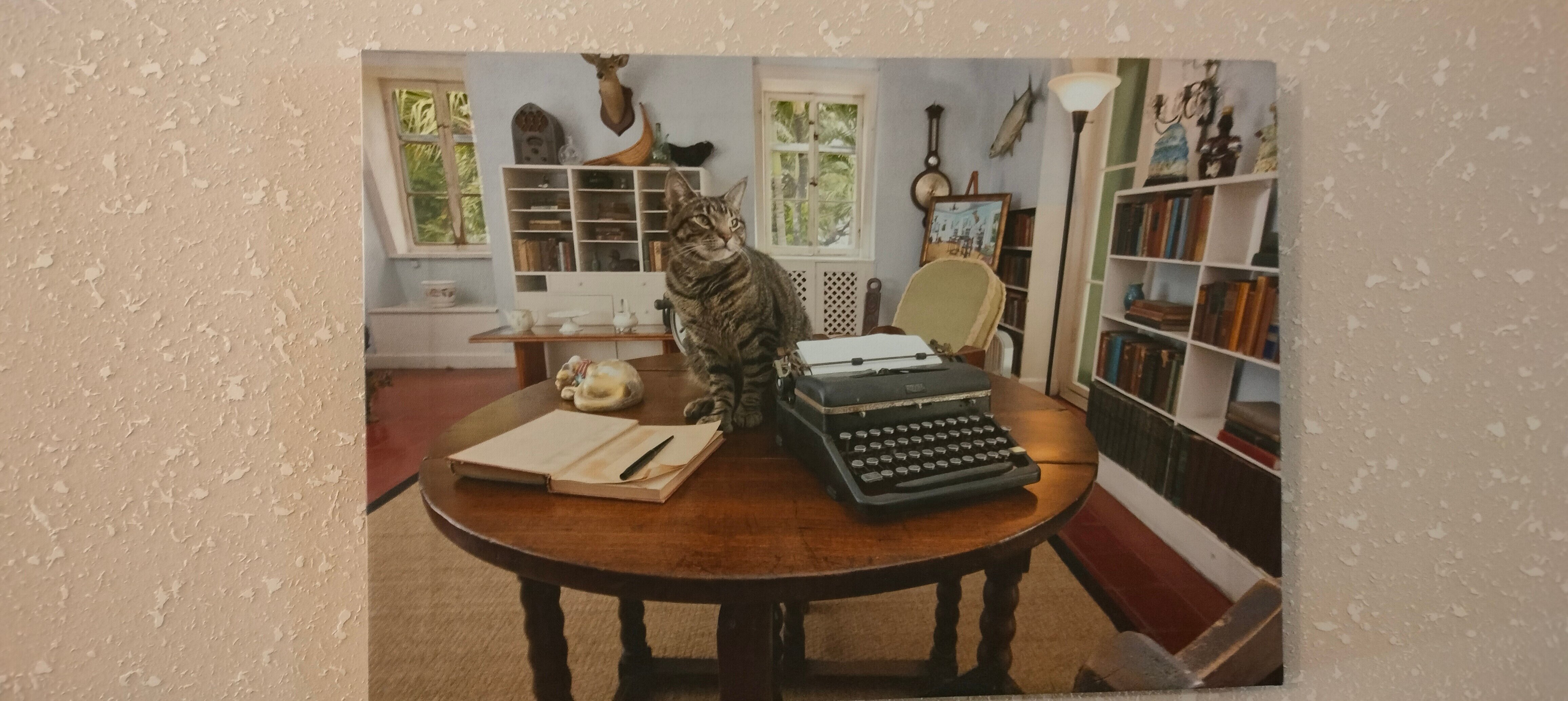 Фото Хемингуэй