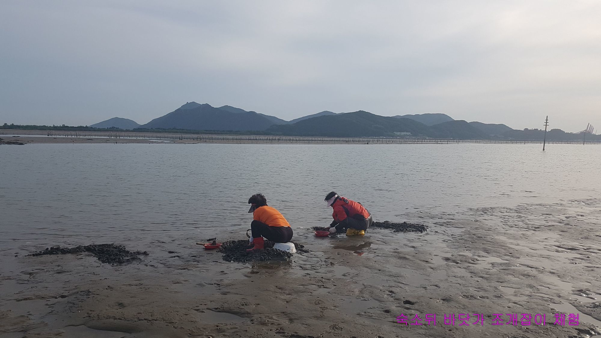 Фото 86406931466