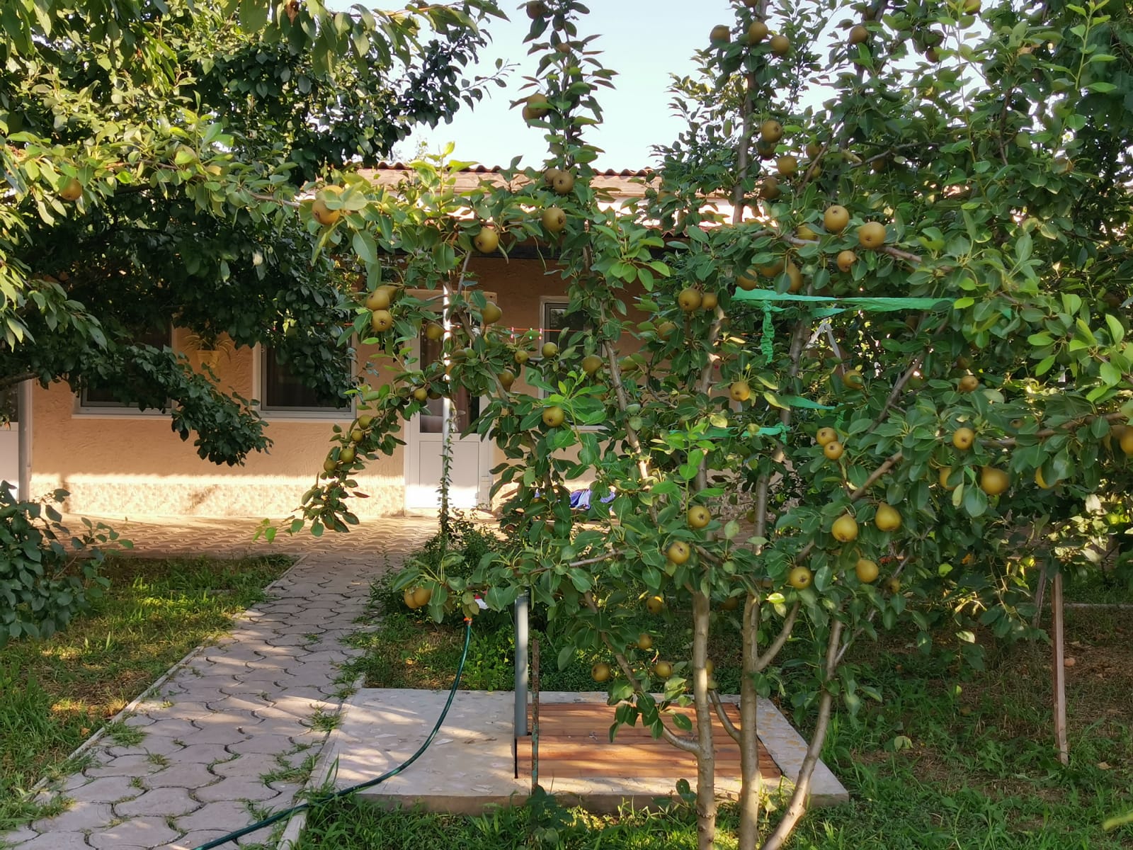 Фото Лонисера