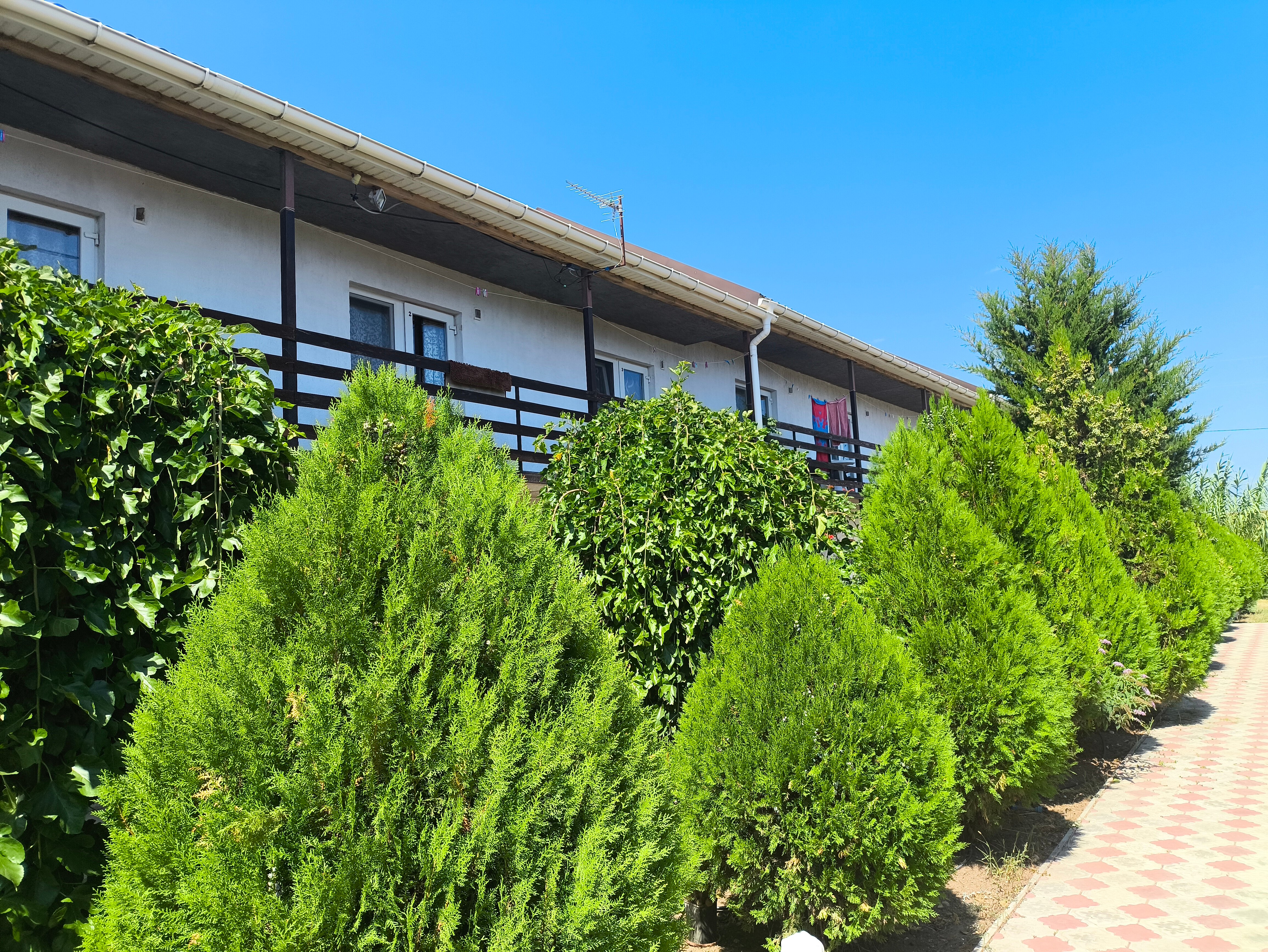 Фото Сахалин