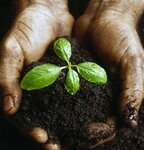 Tarimspot.com (Antalya, Muratpasa District, Demircikara Neighborhood, 1429th Street, 35), fertilizers