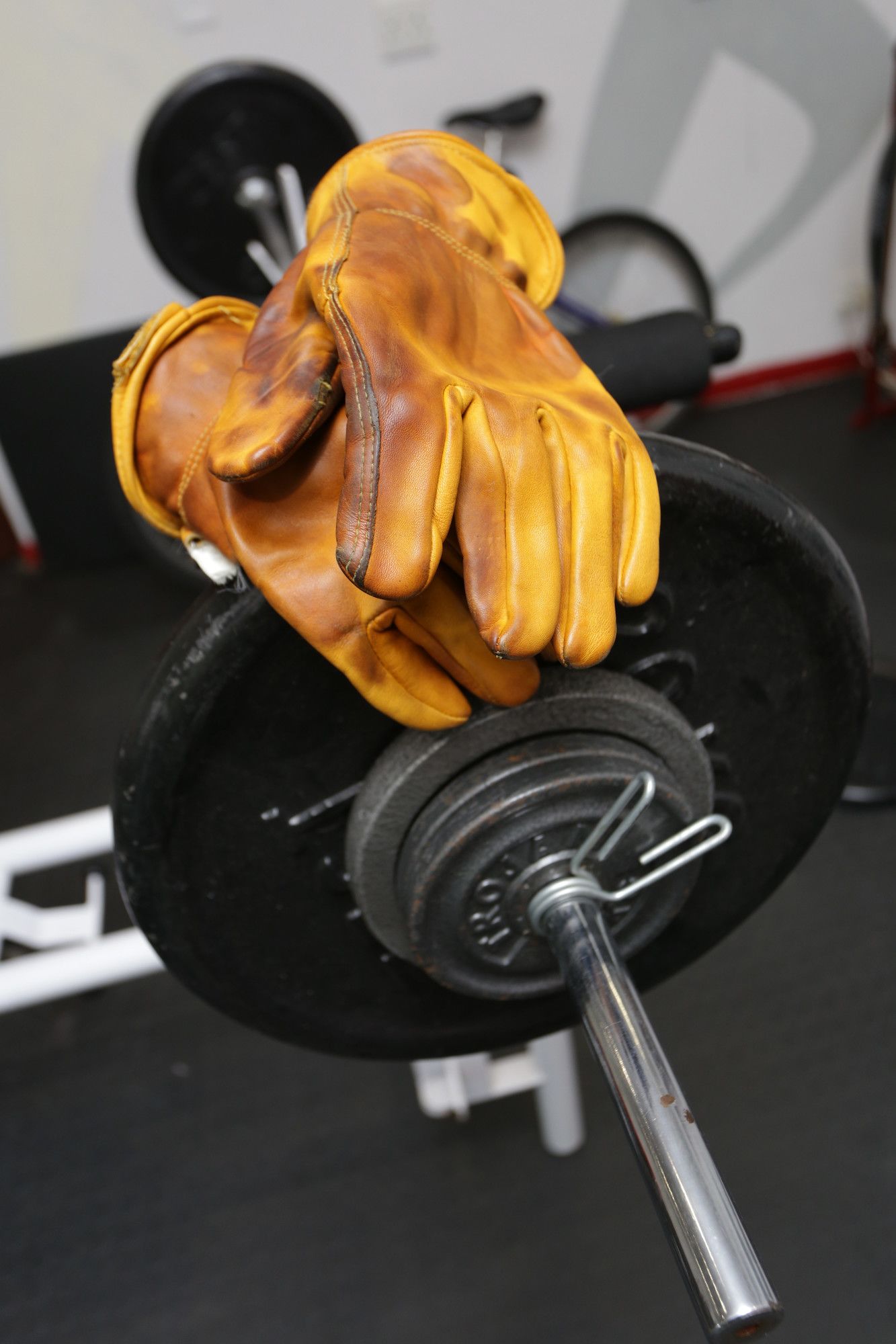 Фото Shangrila Manor - Adults Only