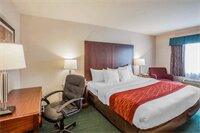 Фото Comfort Inn Auburn - Seattle