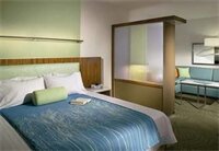 Фото SpringHill Suites by Marriott Atlanta Airport Gateway