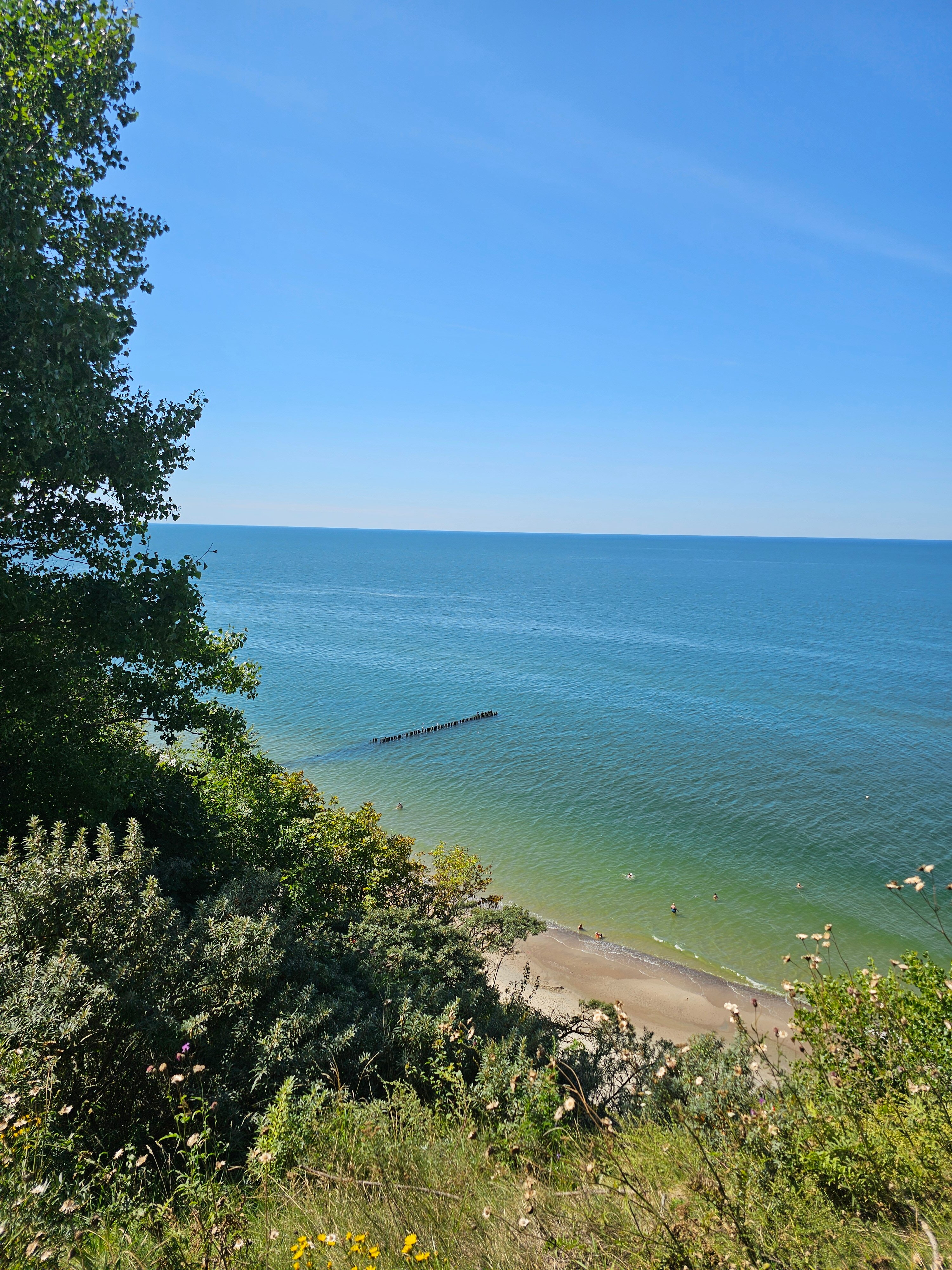 Фото Белый филин