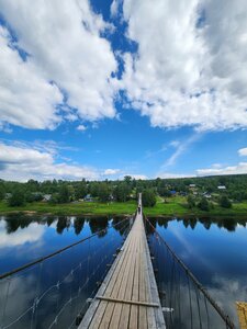 Jinsiy bosh vaqt m f