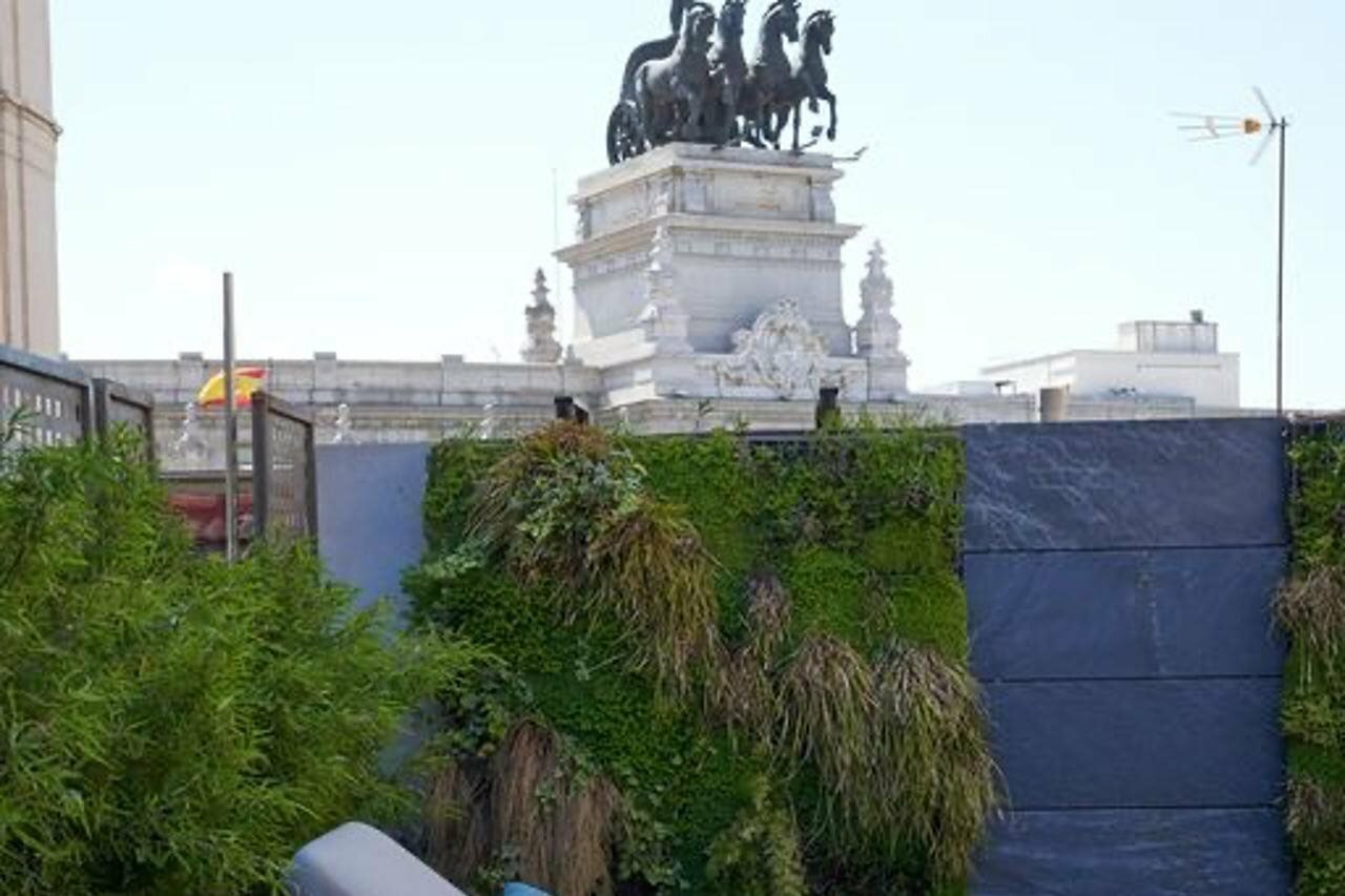 Фото Регина